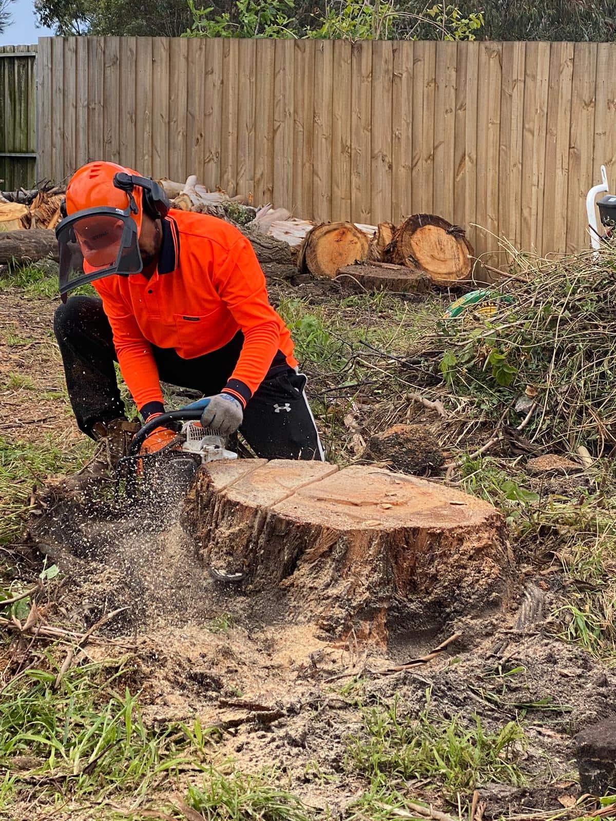 Stump Grinding