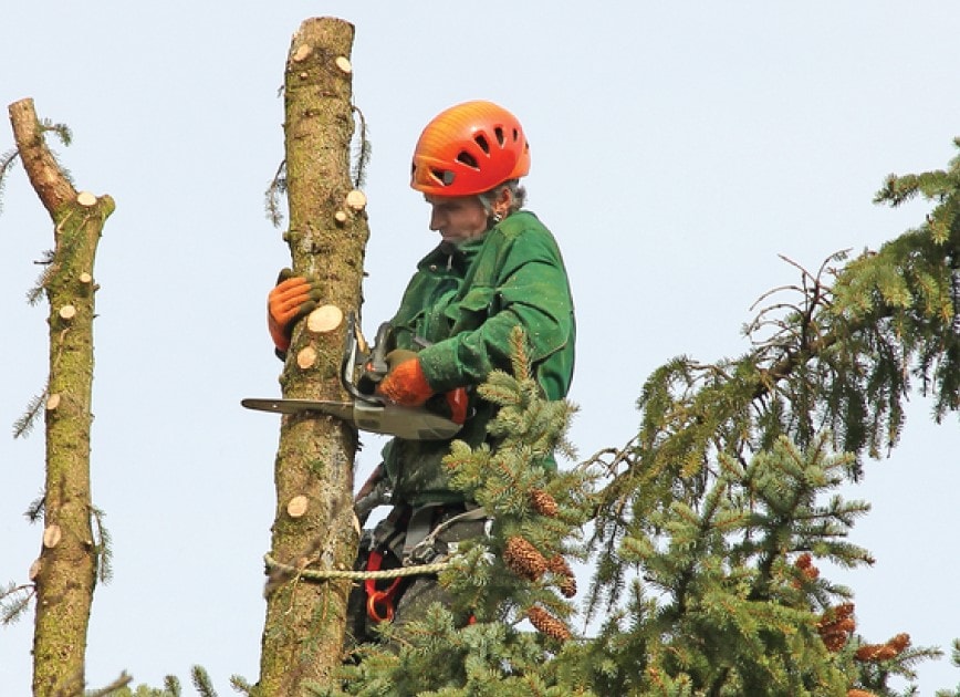 squirecut-slider-img-copy