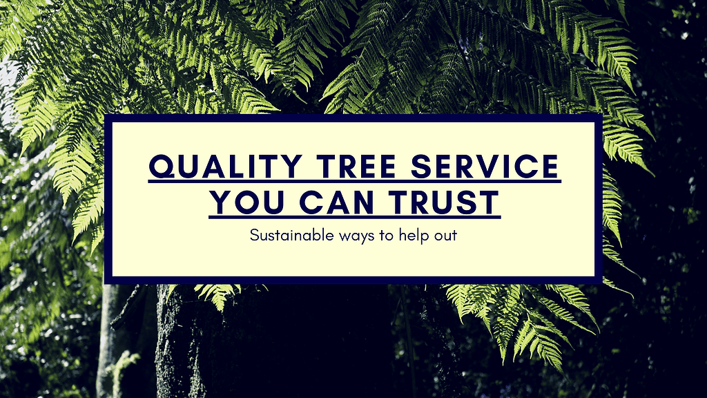 Quality Tree Service You Can Trust