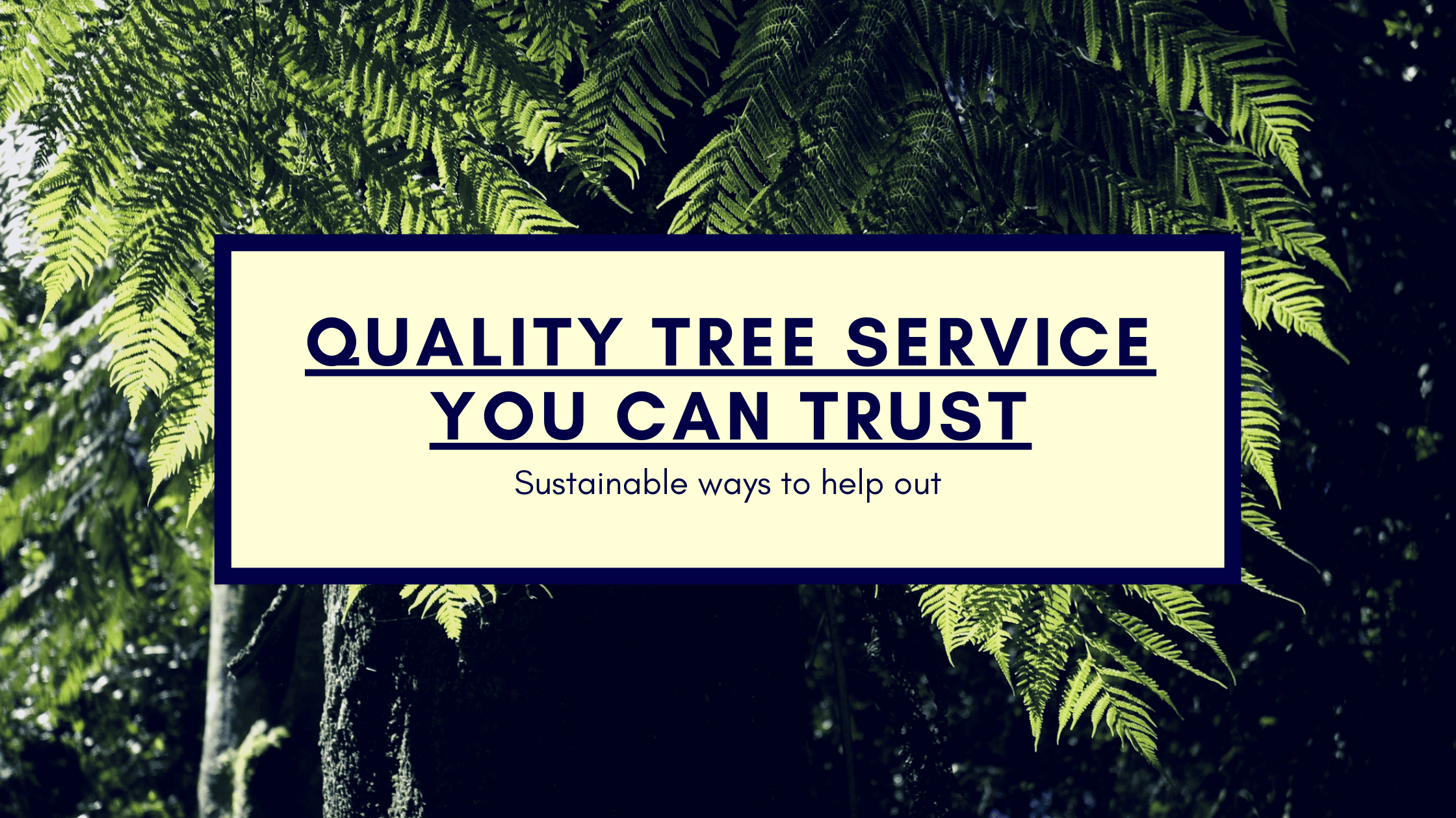 Quality Tree Service You Can Trust