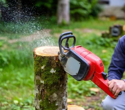 Stump remove