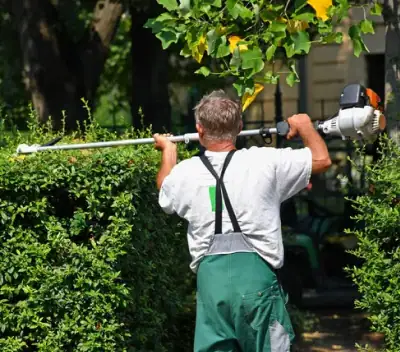 Tree Pruning & Trimming