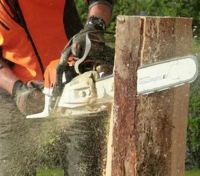 stump remove